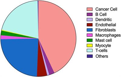 Differential Expression of Genes Regulating Store-operated Calcium Entry in Conjunction With Mitochondrial Dynamics as Potential Biomarkers for Cancer: A Single-Cell RNA Analysis